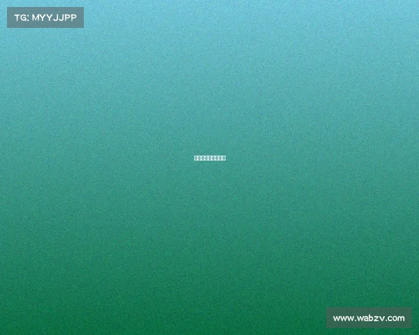 老鹰赛季表现超预期